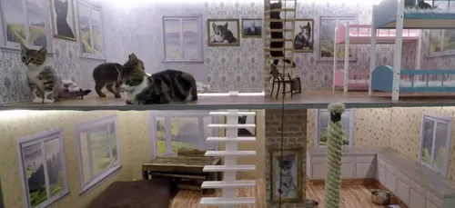 "Kepping up with the Kattarshians" est une télé-réalité... Sur les...