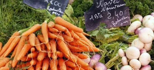 Les carottes bio contiendraient plus de pesticides que celles dites...
