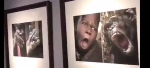 Chine : une exposition raciste met côte à côte... Africains et...