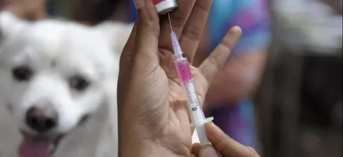 L'enfant qui avait contracté la rage au Sri Lanka est...