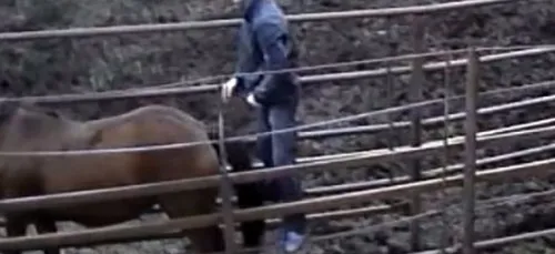 Elle largue son petit-ami après l'avoir vu... En train de violer...