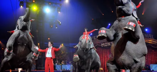 A New-York, les cirques ont désormais interdiction d'utiliser des...