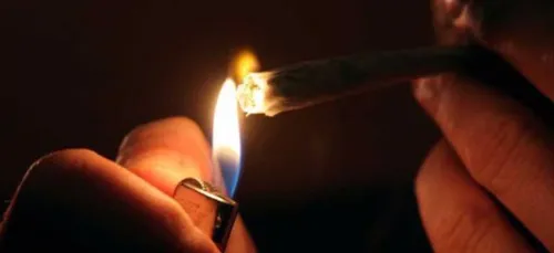 Selon une étude américaine, les fumeurs de cannabis auraient plus...