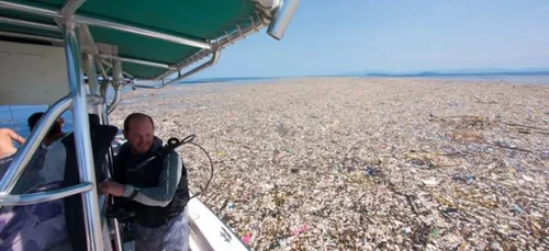 Pollution : la mer des Caraïbes ne ressemble plus du tout à ce que...