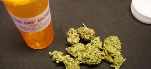 Le cannabis thérapeutique est dorénavant légal en Pologne !