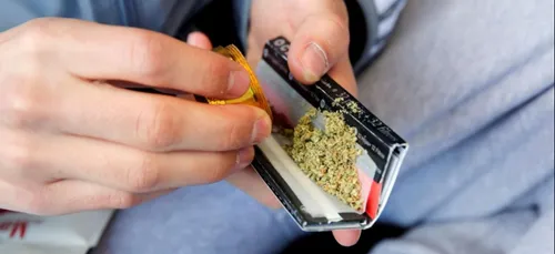 La consommation de cannabis bientôt passible d'une simple amende ?