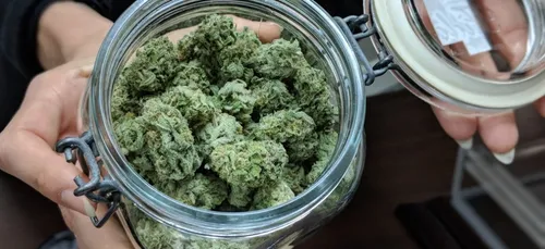 La sauce poisson de ce restaurateur était en fait... Au cannabis.