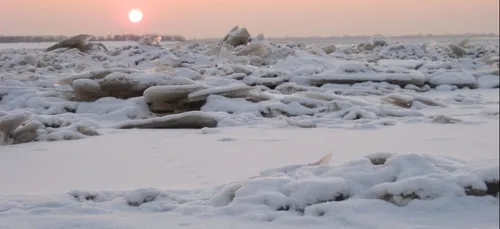54 mains découpées, découvertes dans un sac !