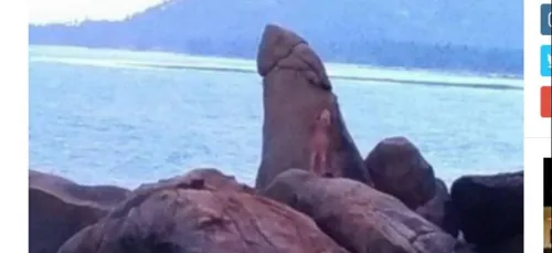 Naturiste, elle est recherchée par la police pour avoir enlacé un...