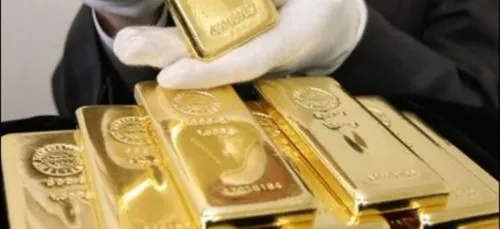 Roanne : ils font une improbable découverte dans leur jardin......