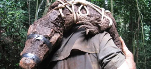 Gabon : découverte de crocodiles orange, coincés depuis 3.000 ans...