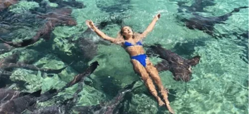 Un modèle Instagram attaqué par des requins pendant un shooting...
