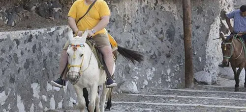 Santorini : des ânes maltraités à cause des touristes "trop gros"