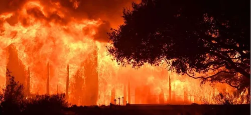 Contre les incendies, Trump appelle à la déforestation