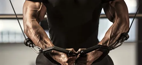 La science, bientôt capable d'empêcher nos muscles de vieillir !