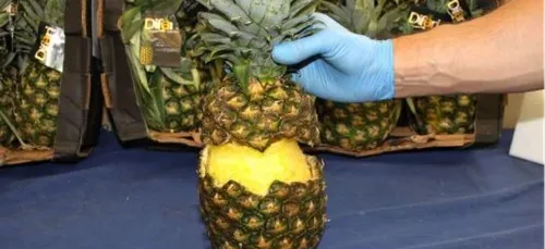 Espagne : 67 kilos de cocaïne découverts dans... Des ananas ! (Vidéo)