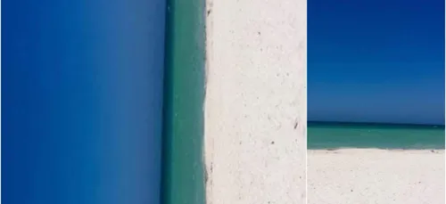 Porte ou plage ? La nouvelle illusion d’optique qui divise !