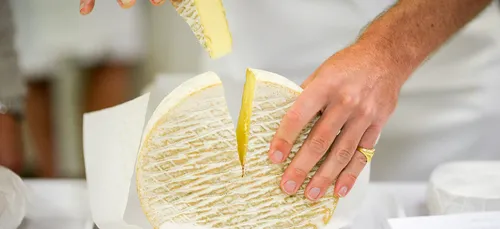 Sainsbury's lance le calendrier de l'avent... Au fromage !