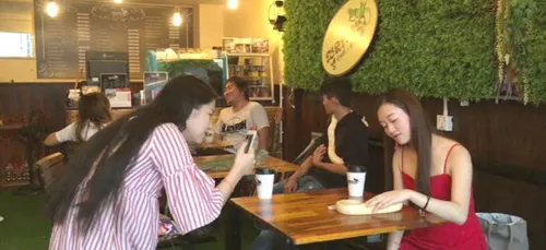 Bar à reptiles : oserez-vous boire votre café en compagnie de...