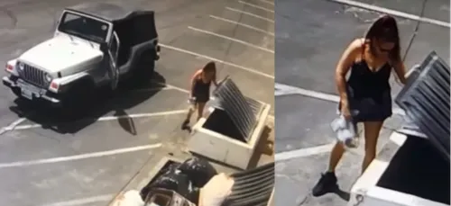 Coachella : arrêtée après avoir jeté 7 chiots dans une poubelle !...