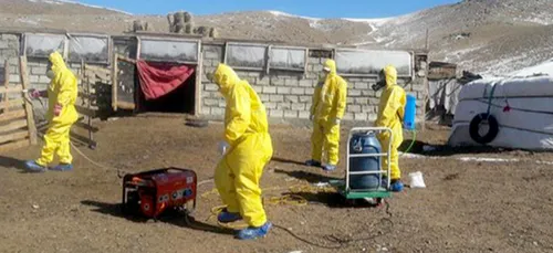 La peste noire effectue son retour, un couple décède !