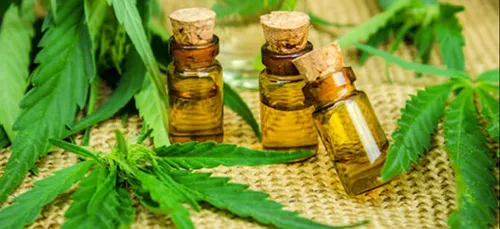 L'usage du cannabis thérapeutique, bientôt autorisé en France !