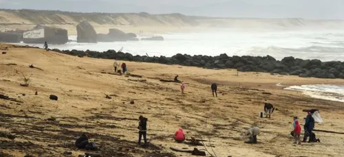 760kg de cocaïne s'échouent sur les plages françaises