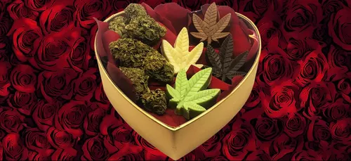 Pour la Saint-Valentin, optez pour le coffret chocolat-CBD !