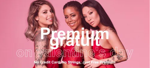 Pornhub premium, gratuit pour la Saint-Valentin !