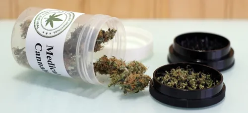 Le cannabis bientôt légalisé en France ?