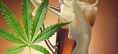 La bière au cannabis débarque sur le marché !