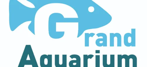 Deux nouvelles naissances à l’aquarium de Touraine (vidéo)