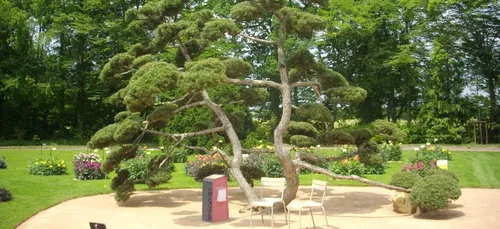 Orléans : le parc floral de La Source va faire de la place au tourisme