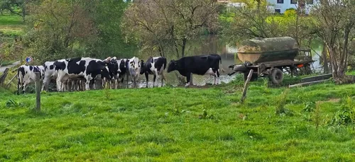 Saône-et-Loire : la foudre s’abat sur une ferme