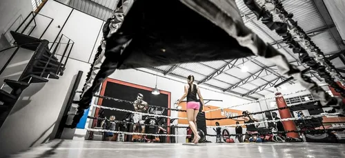 Gien : Un nouvel espace vert pour remplacer la salle de boxe