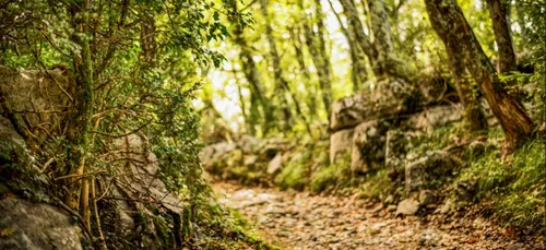 Loir-et-Cher : une femme de 46 ans disparaît à Thoury (photo)