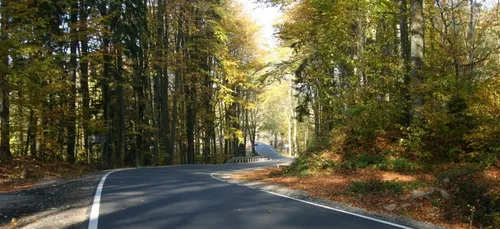 Loiret : circulation interdite sur les routes forestières