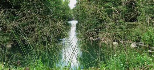 Loiret : un corps repêché à Sceaux-du-Gâtinais