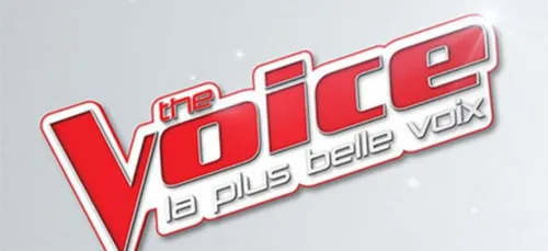 The Voice : découvrez les nouveaux coachs de la saison 8 !