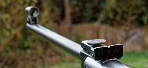 Loiret : il tire par erreur sur une passante