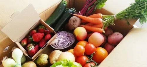 Alimentation : manger bio réduirait de 25 % le risque de cancer