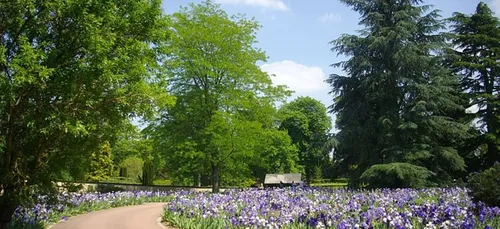 Orléans : la ville condamnée pour une affaire d’harcèlement