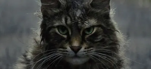 Simetierre : une nouvelle bande-annonce angoissante (Vidéo)