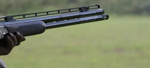 Limoges : un chasseur condamné pour avoir malencontreusement tiré...