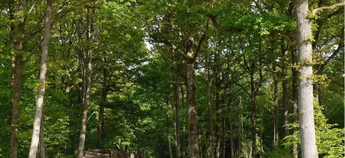 Ferrières : le corps retrouvé a été identifié