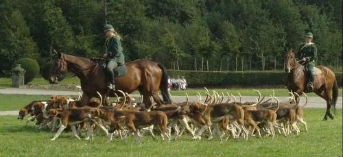 Chambord : une chasse présidentielle pour les 500 ans de Léonard de...