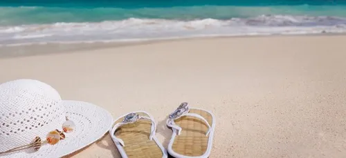 Job : des testeurs de tongs et de maillots de bain sont...