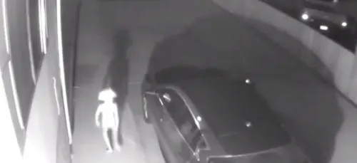 Une étrange créature enflamme la toile (Vidéo)