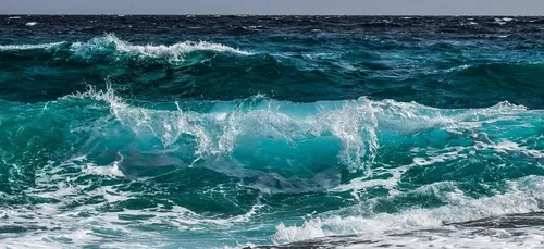 La Trottinette des mers, le nouveau moyen de transport de l'été ?...