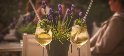 On connaît le cocktail qui cartonne sur les terrasses cet été !...